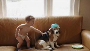 Et barn skriver et brev til sin avdøde hund og får et svar