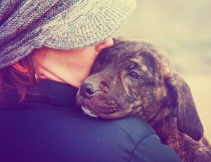 Ikke behandle hunden din som en baby