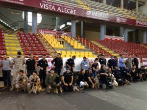 Grunner til at du bør vurdere å adoptere en pensjonert politihund