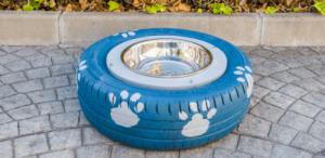 Lær hvordan du lager en hjemmelaget vannskål til hunden din