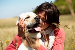 hunden din liker ikke dette