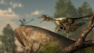 Hva er fuglenes opprinnelse? Evolusjon og utvikling