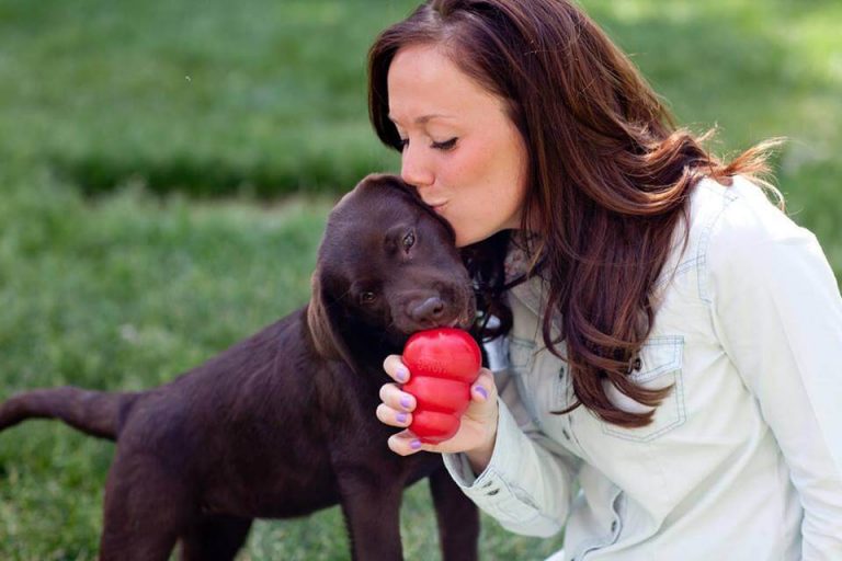 Hund med Kong leketøy