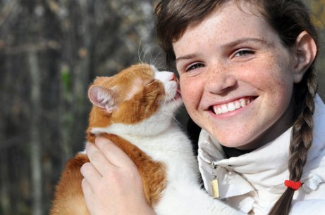 katt slikker eieren sin