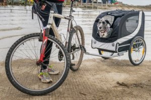 Sykkeltilhenger for hund