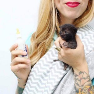 Kitten Lady: Kvinnen som har reddet hundrevis av katter