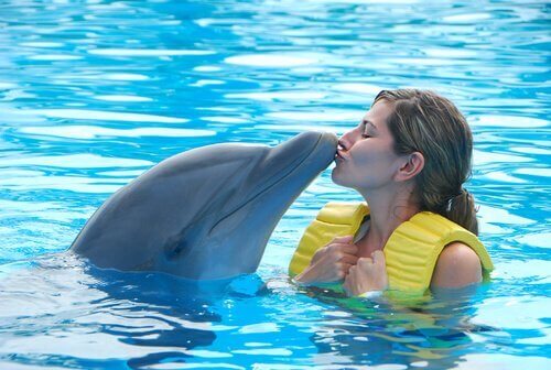 En delfin