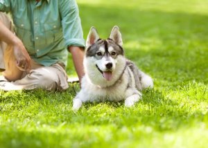 Flokkleder: Hvordan vite om det er deg