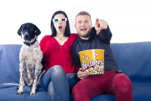Film du kan se med hunden din