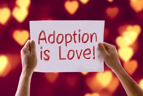 Hvor kan man adoptere en hund eller en katt?