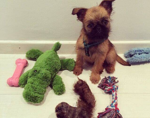 Daniel Sanchez Arevalo sin valp