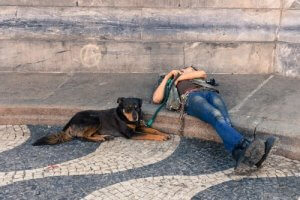 5 vakre europeiske reiser du kan ta med hunden din på