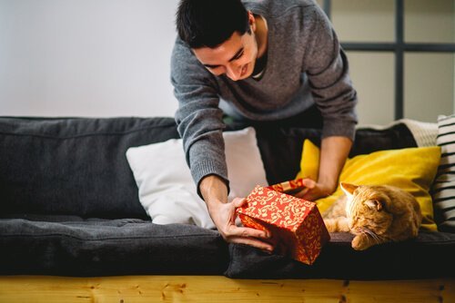 katt får belønning