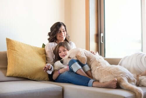 En familie som leker med sin Golden Retriever: hvordan barn skal samhandle med hunder.