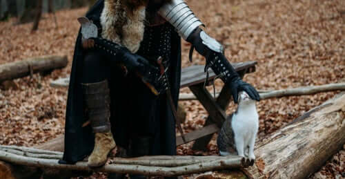 huskatten i middelalderen