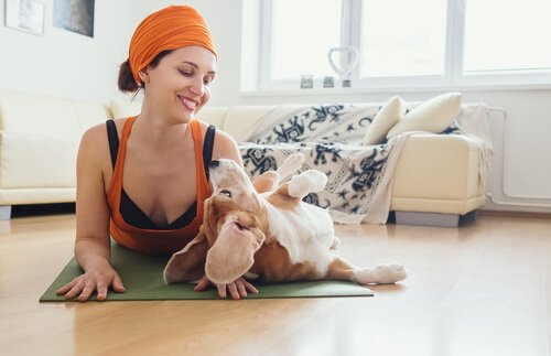 Fordelene med doga for hunder