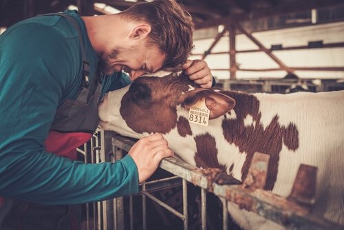 Farmakologiske produkter for gårdsbruk