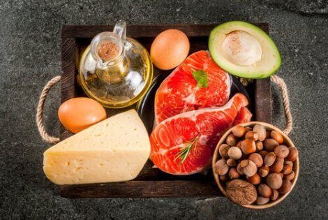 Omega-6 BARF-dietten for hunder