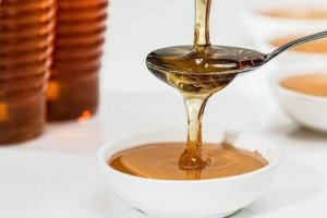Bieprodukter og helsemessige fordeler for hunder