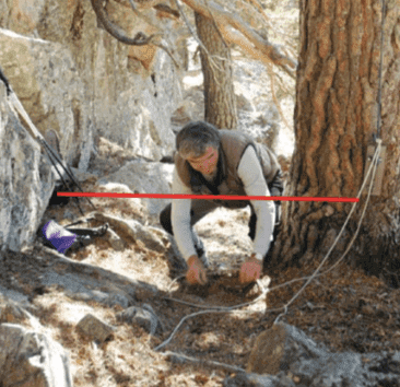 Man kan fange ville dyr med tau.