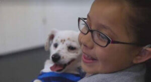 En hund som forstår tegnspråk - Walter og Julia