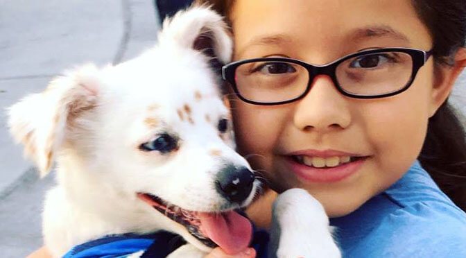 En hund som forstår tegnspråk