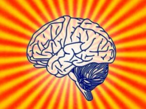 Hva handler biologisk psykologi om?