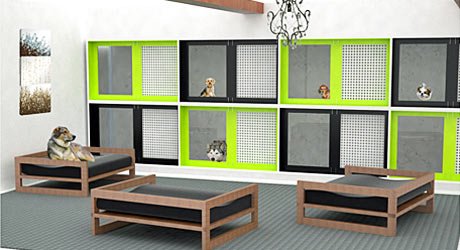 Hunder i sengene sine på et bra hundehotell