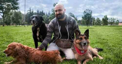 Det er mulig å gjenopplære en aggressiv hund