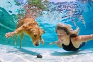 En russisk oppfinnelse vil tillate hunder å puste under vann