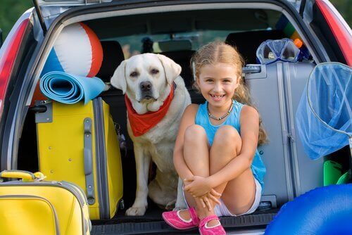 Hund med på reise