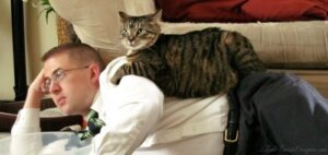 Slik styrker du forholdet til katten din