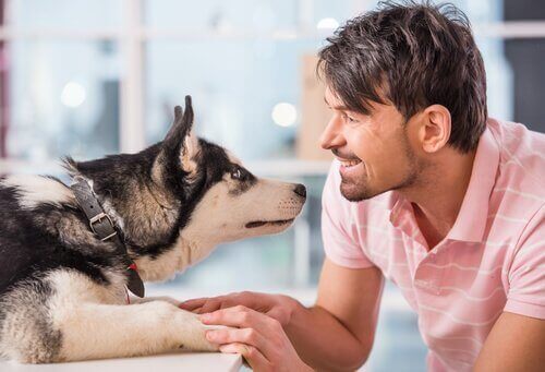 En mann som snakker med hunden sin.