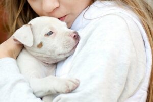 Dyreassistert terapi for barn diagnostisert med autisme