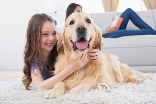 En liten jente som leker med hunden sin
