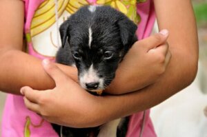 Bruk lek for å lære barnet ditt å ta vare på et kjæledyr