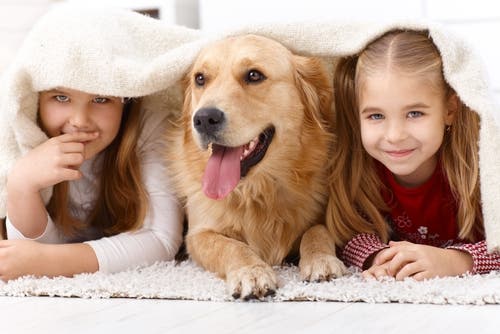 En hund og noen barn