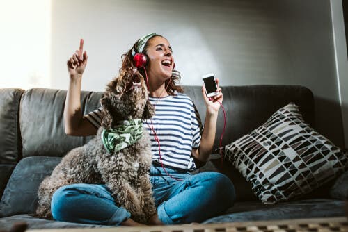 Forlate hjemmet: Bør jeg la radioen stå på for kjæledyret mitt?