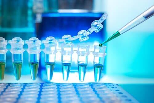 Laboratorium