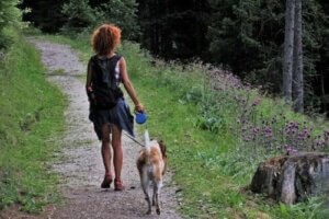5 tips for å campe med hunden din