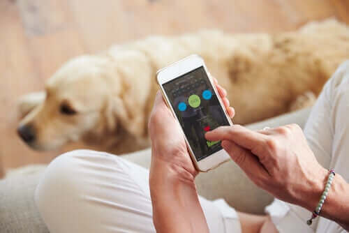 En hundeeier som bruker en app