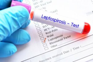 Tre tips for å forhindre leptospirose hos kjæledyr