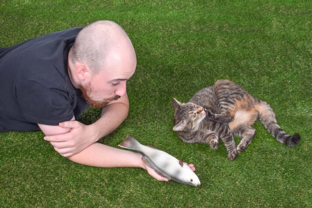 Kattens sosiale interaksjon: 4 interessante fakta