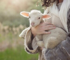 Diaré hos nyfødte små drøvtyggere