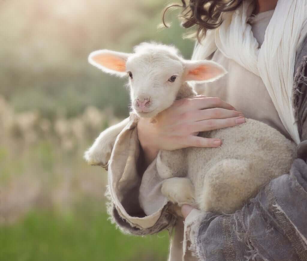 Diaré hos nyfødte små drøvtyggere