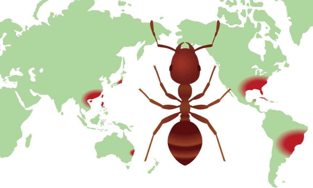 Hva er utbredelseskart for biologisk mangfold?