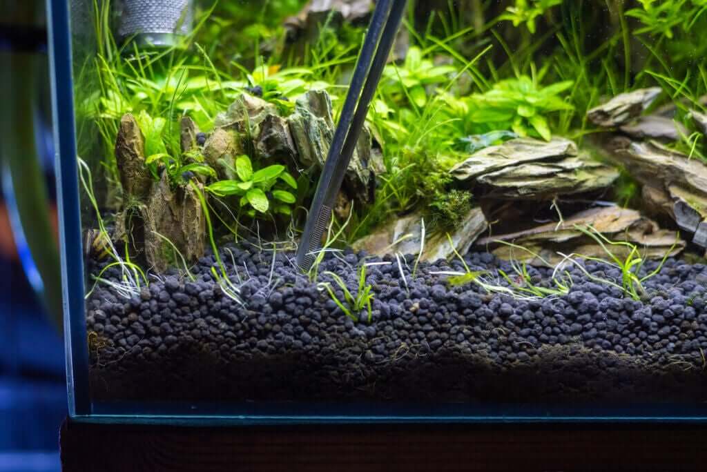 4 typer bunnlag for akvarier