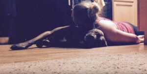 Servicehunden Colt: Opplært til å beskytte eieren sin