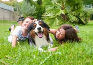 Stor hund eller liten hund: Et barns beste venn