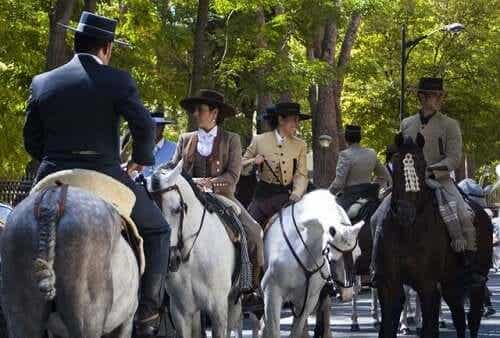 Hester under en filminnspilling